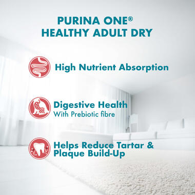 Purina ONE Cat Food Healthy Adult Salmon and Tuna