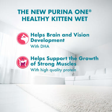 Purina ONE Kitten with Chicken in Gravy Wet Cat Food