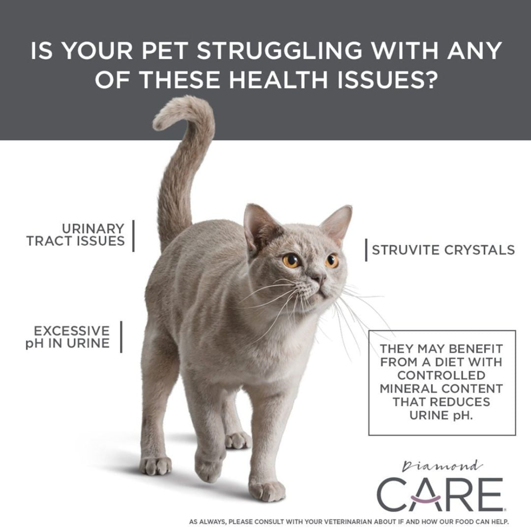 DIAMOND PET FOOD PRODUCT DIAMOND CARE URINARY SUPPORT FORMULA FOR ADULT CATS URINARY SUPPORT POINTS BY PETS EMPORIUM