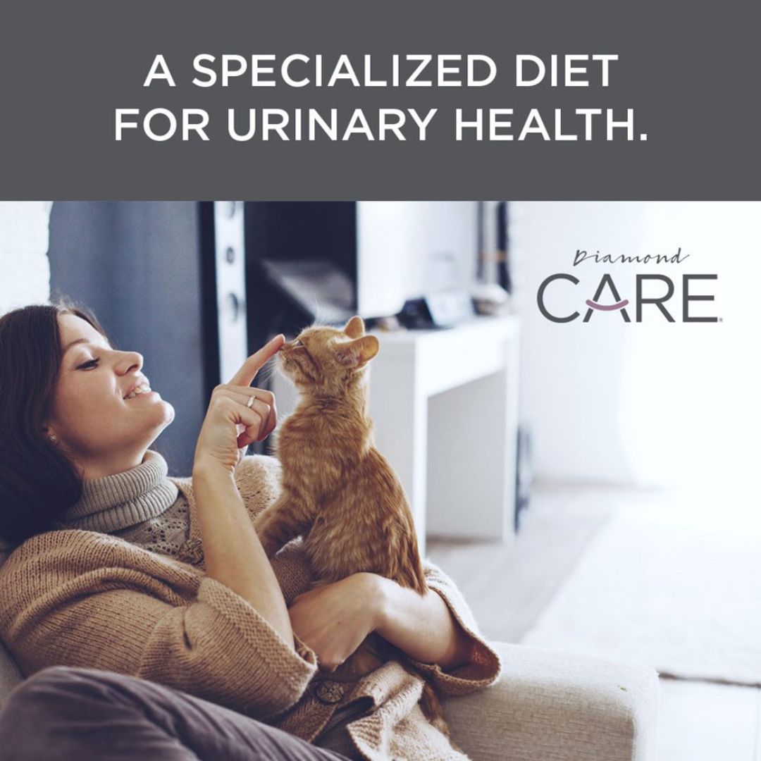 Diamond Pet Products Diamond CARE Urinary Formula for Cats Woman Holding Yellow Tabby Cat by pets emporium