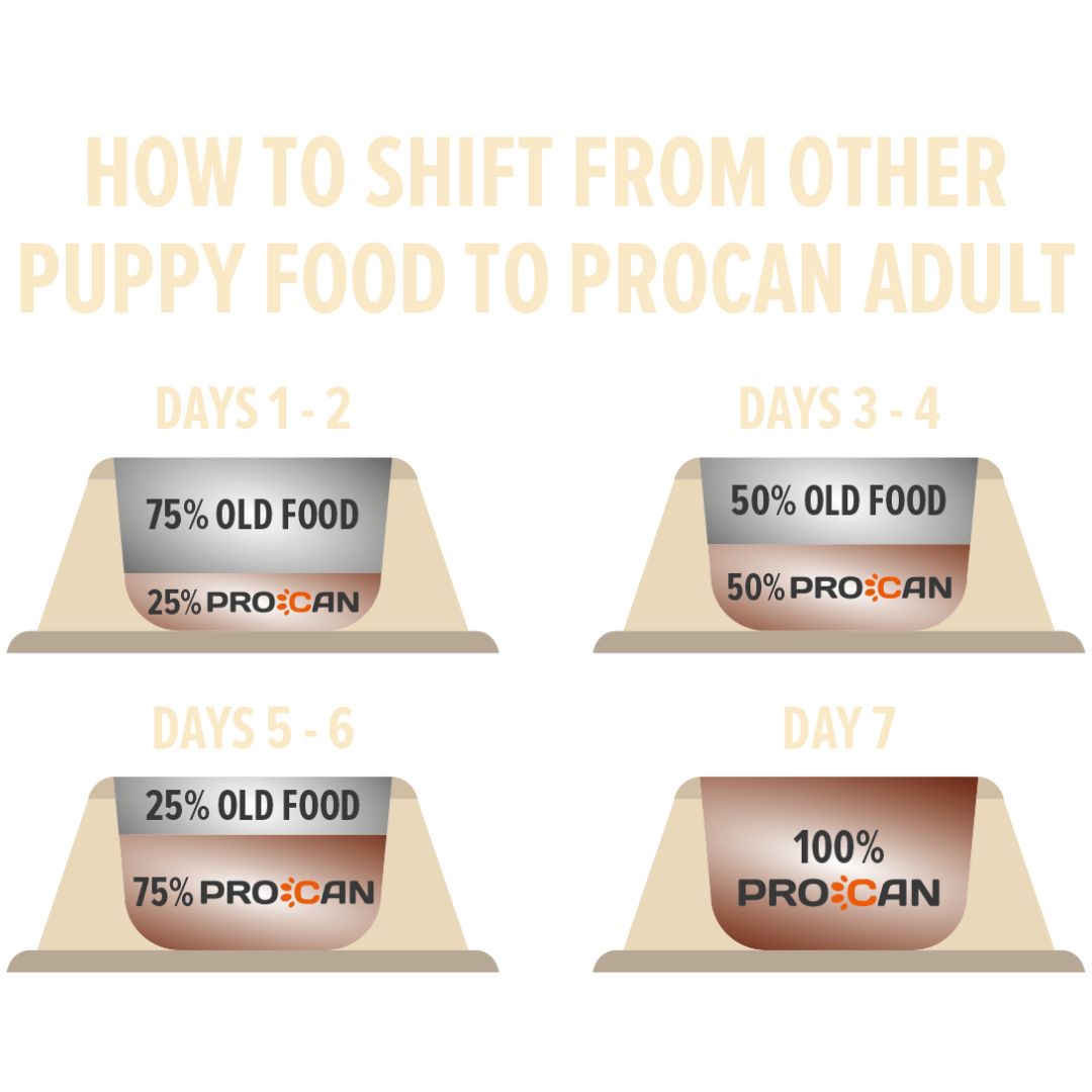 ProcanAdultDogFoodinPakistanFoodTransitionbyPetsEmporium