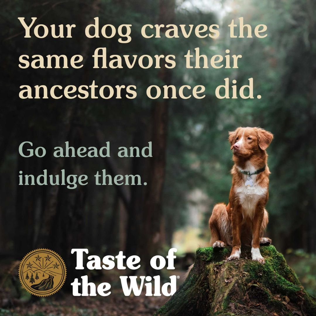 Taste Of The Wild High Prairie Puppy Formula Puppy Food with Roasted Bison and Roasted Venison Change Life Style of Dog by Pets Emporium