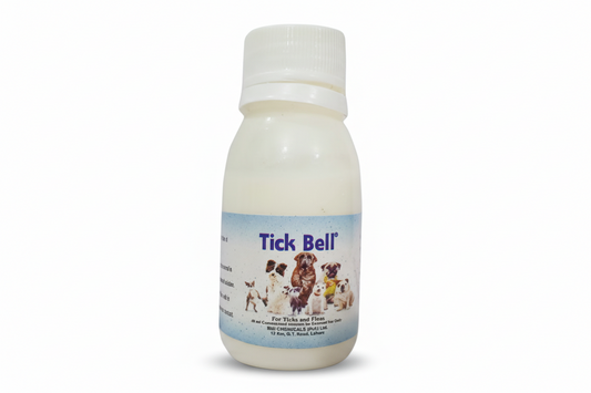 A bottle labeled 'Tick Bell' for flea and tick control in dogs, with a white cap.