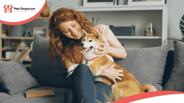Common Pet Nutrition Mistakes Every Owner Should Avoid