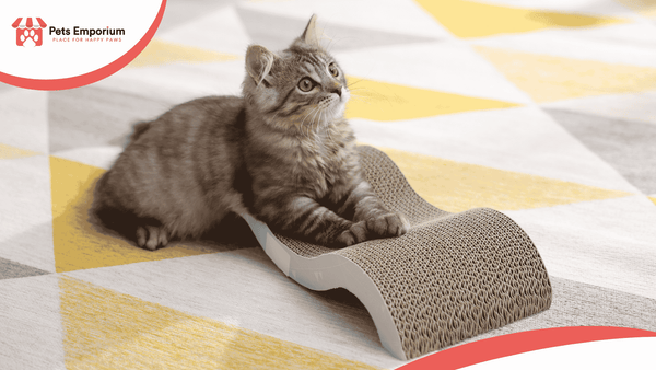 How to Choose the Right Cat Scratcher?