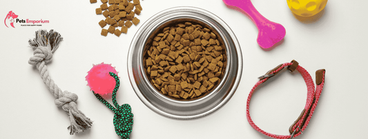 Best Place to Buy Pet Food & Pet Accessories Online in Pakistan