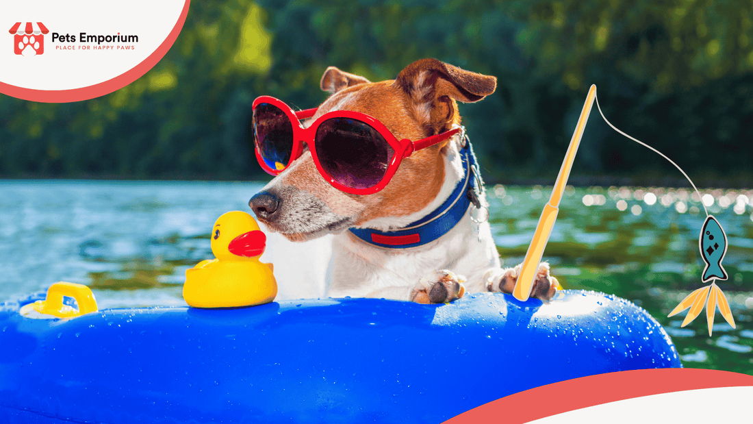 Must-Have Summer Accessories for Pets in Pakistan: Cooling Mats, Bowls & Toys