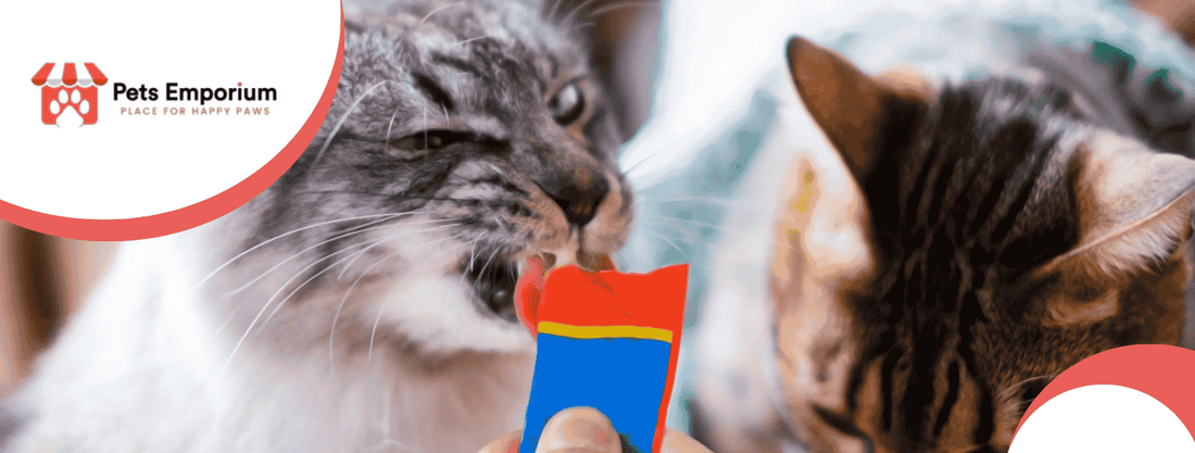 Top10 Healthy Cat Treats in Pakistan