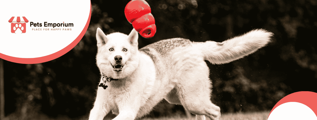 Dog Care Made Easy: Tips for a Healthy and Happy Pup - Pets Emporium