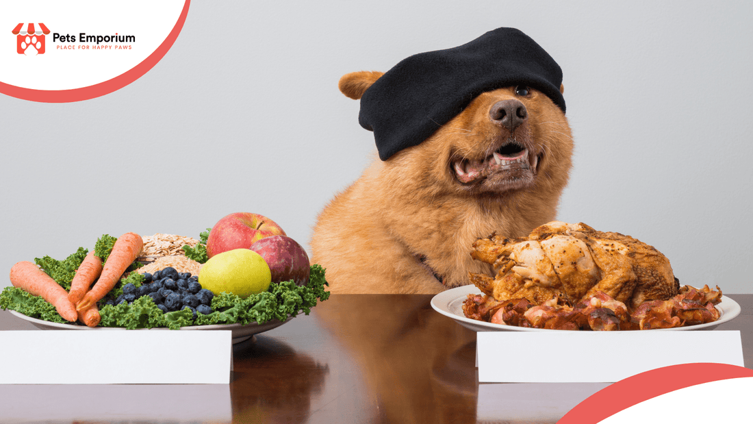 Dog Diet Plans to Prevent Summer Heatstroke in Pakistan - Pets Emporium