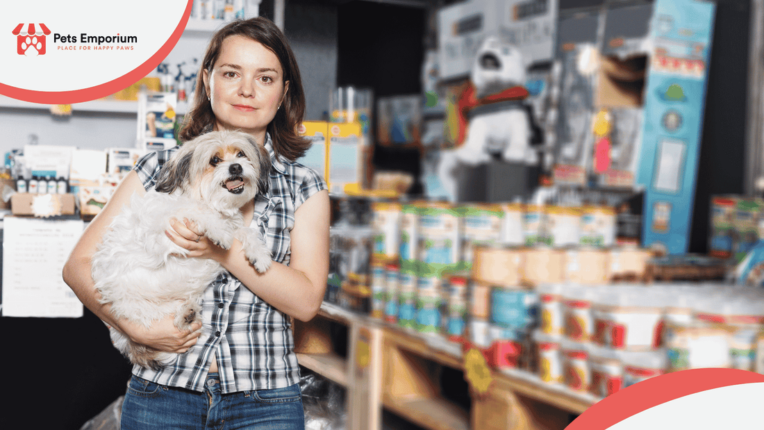 Dog Food Buying Guide in Pakistan: Summer Edition Tips - Pets Emporium
