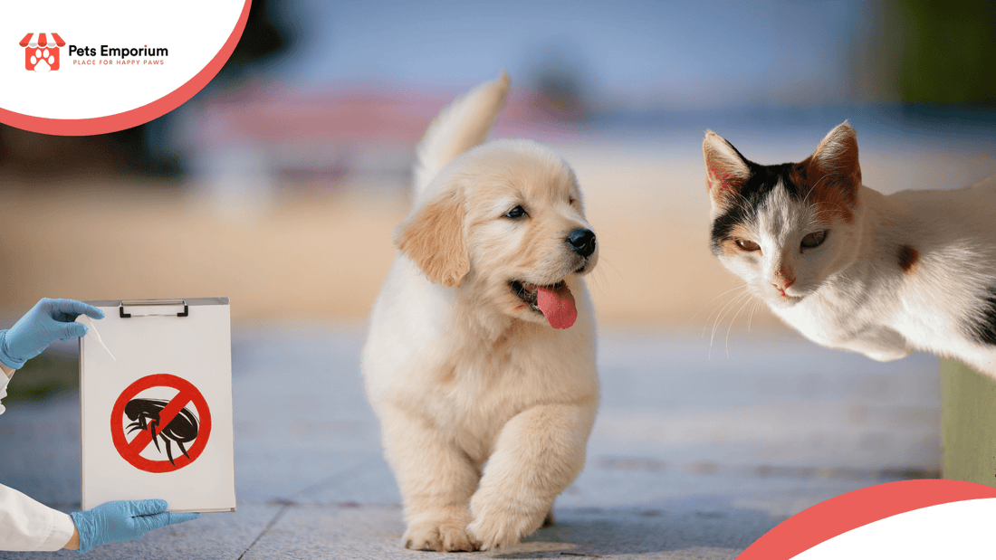 Flea, Tick, and Parasite Prevention Tips for Pets in Summer - Pets Emporium