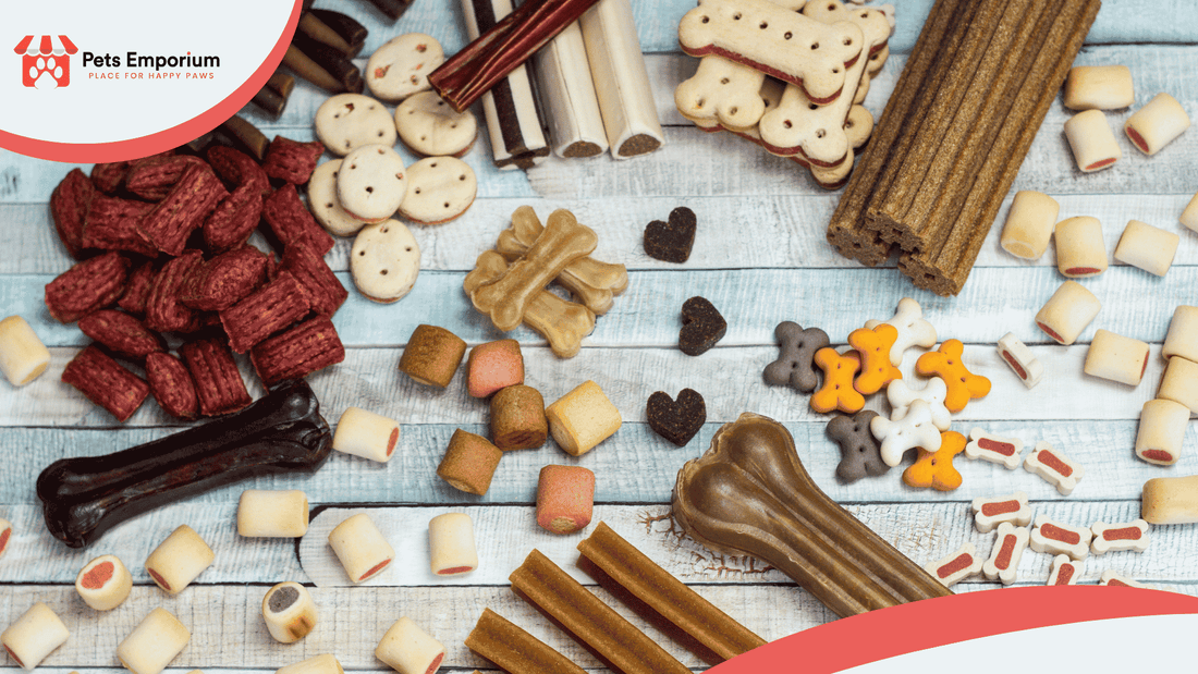Imported vs Local Pet Food: Which Keeps Your Pets Healthy & Hydrated in Hot Months - Pets Emporium