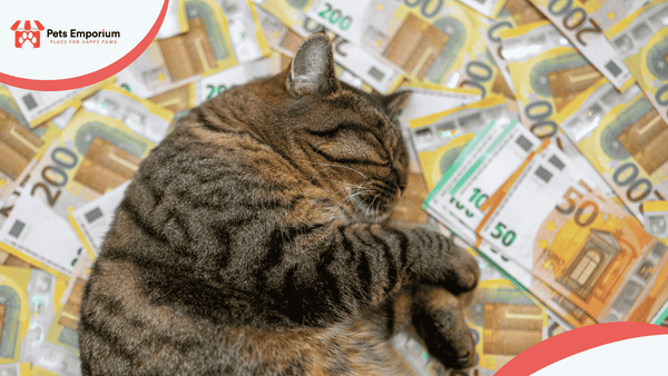 Monthly Cost of Keeping a Cat or Dog in Pakistan (2026 Breakdown)