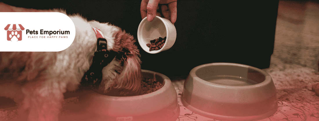 Puppy Feeding Mistakes to Avoid for First-Time Pet Parents - Pets Emporium