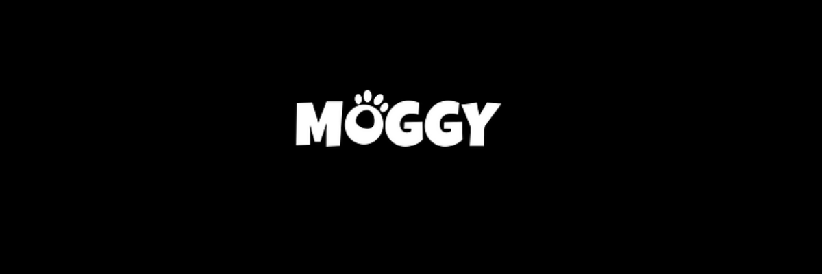 Moggy