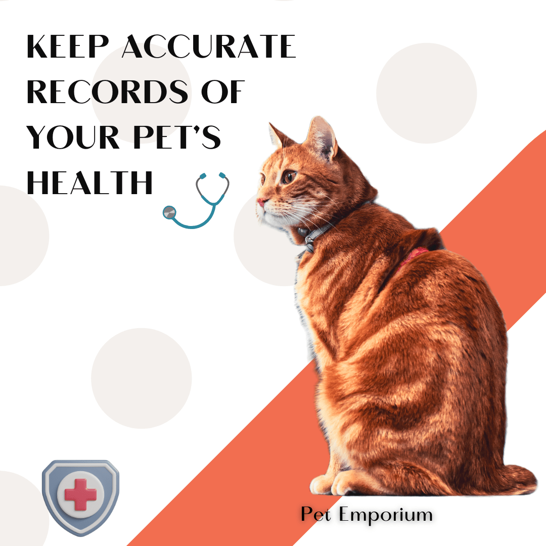 Cats Healthcare & Medicine