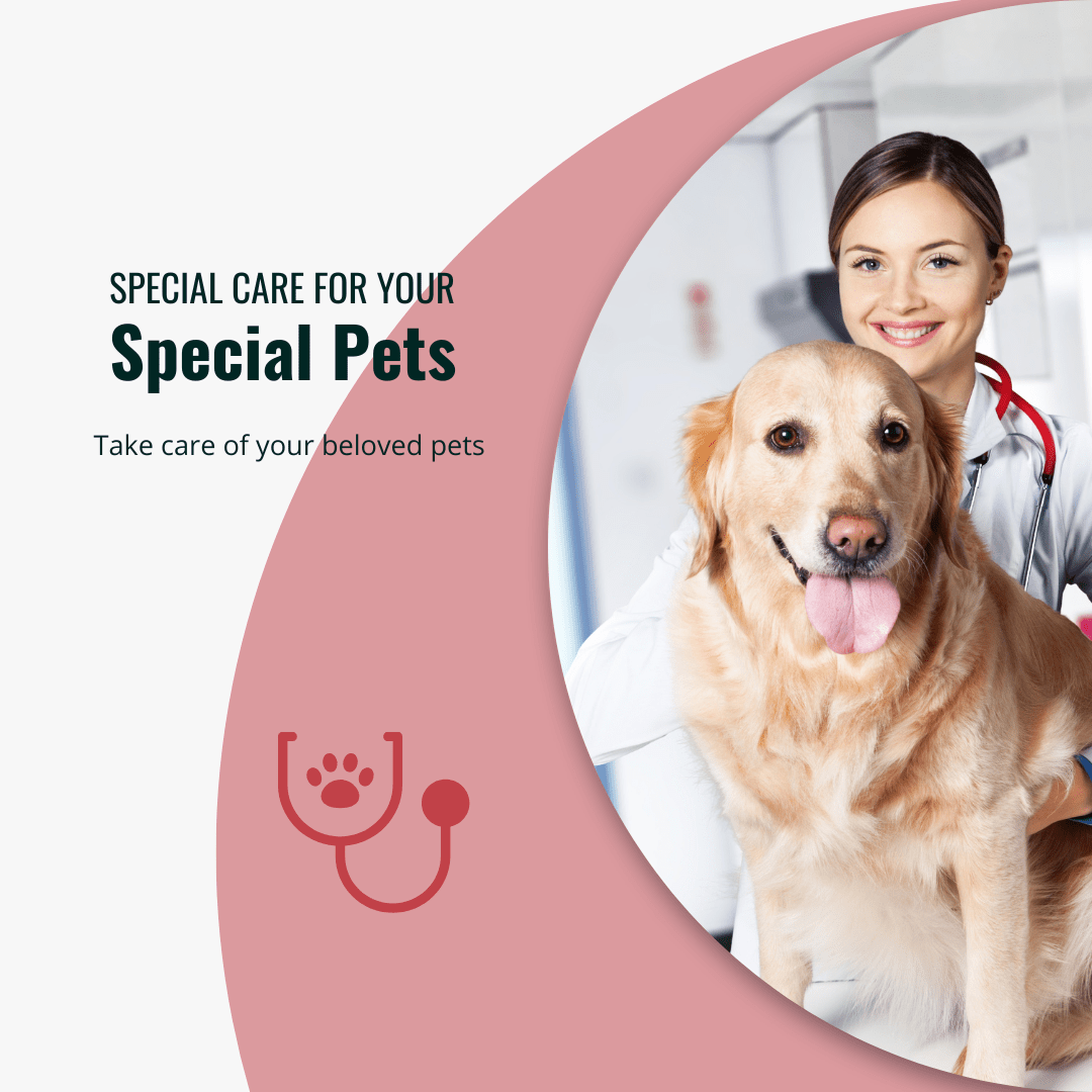 Dog Healthcare & Medicine