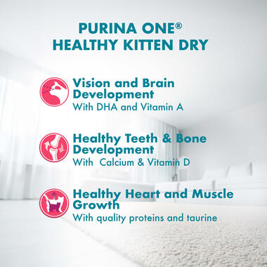 Purina ONE Healthy Kitten Food Chicken