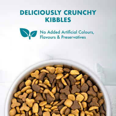 Purina ONE Cat Food Indoor Advantage Chicken