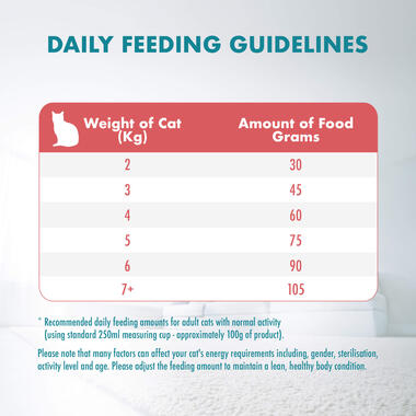 Purina ONE Cat Food Healthy Adult Salmon and Tuna