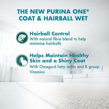 Purina ONE Adult Hairball with Chicken in Gravy Wet Cat Food