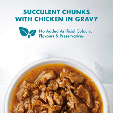 Purina ONE Adult Hairball with Chicken in Gravy Wet Cat Food