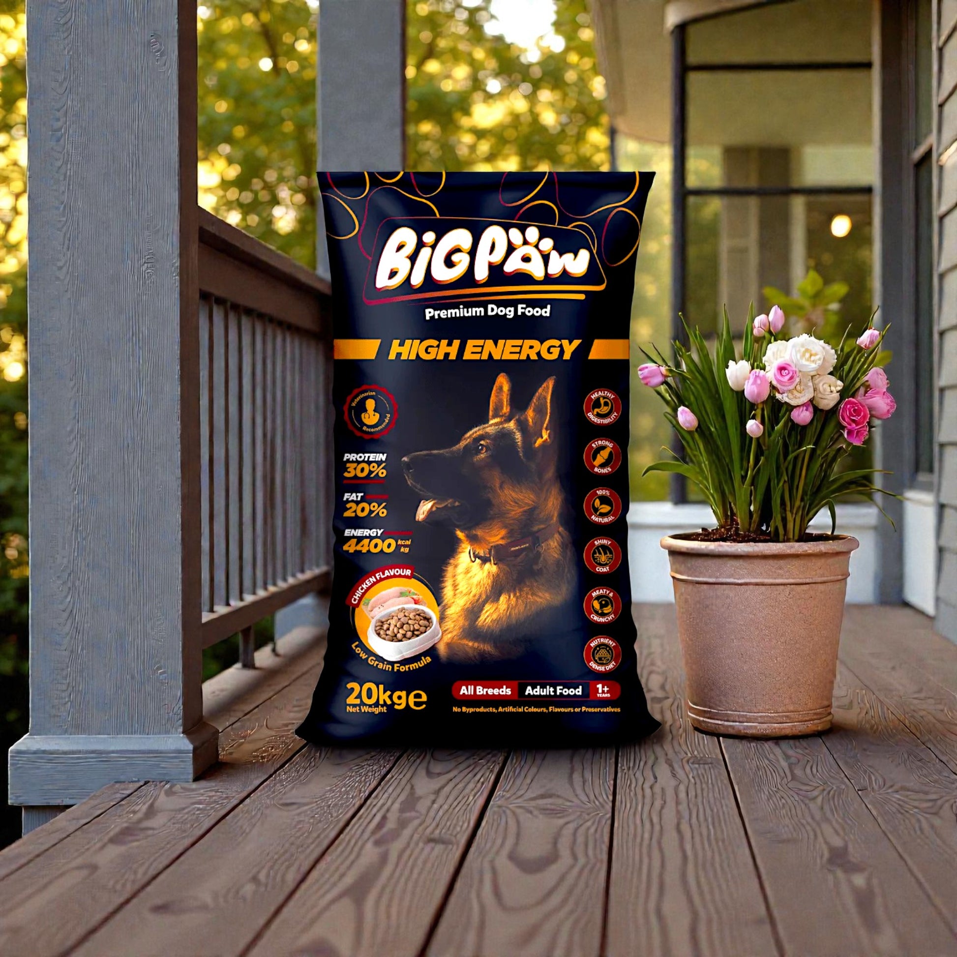 Bag of Big Paw High Energy dog food on a wooden deck with a potted plant and flowers.