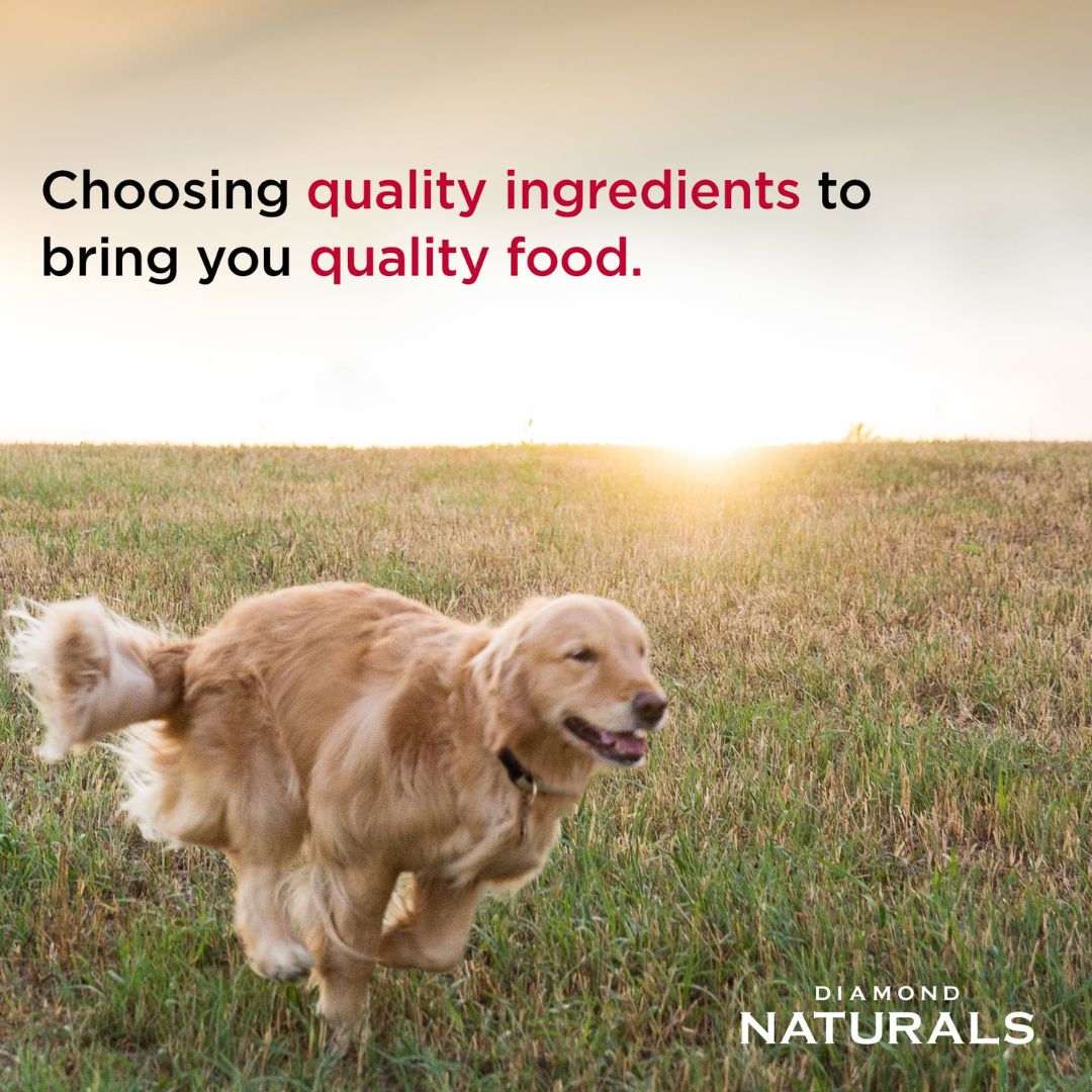 DIAMOND NATURALS LARGE BREED ADULT DOG CHICKEN & RICE FORMULA QUALITY INGREDIENTS QUALITY FOOD BY PETS EMPORIUM