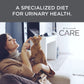 Diamond Pet Products Diamond CARE Urinary Formula for Cats Woman Holding Yellow Tabby Cat by pets emporium