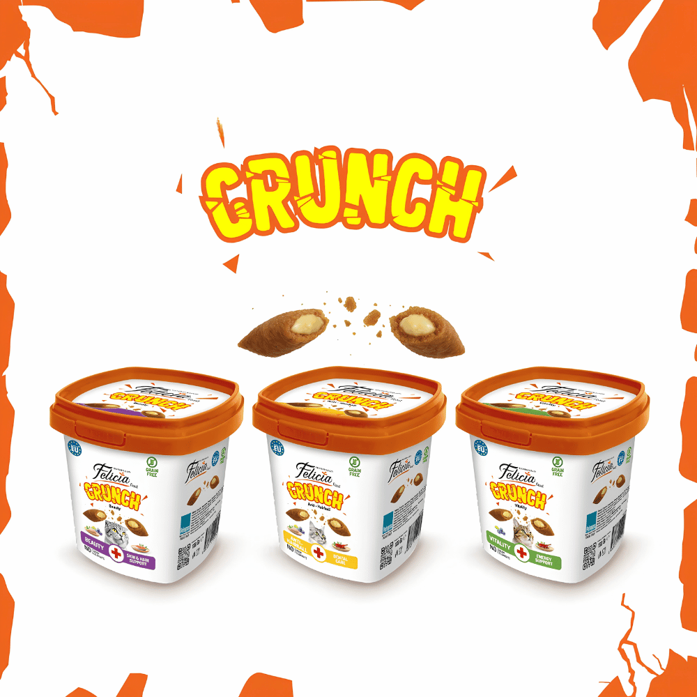 Felicia Hairball Cat Crunch Treat 