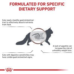 Royal Canin Gastrointestinal Dry Cat Food