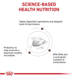 Royal Canin Gastrointestinal Dry Cat Food