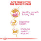 Royal Canin Persian Kitten Dry Cat Food