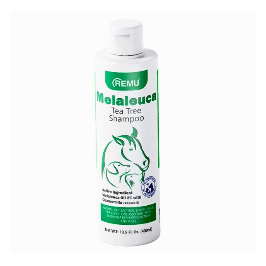 Remu Melaleuca (Tea Tree) Medicated Shampoo by Pets Emporium