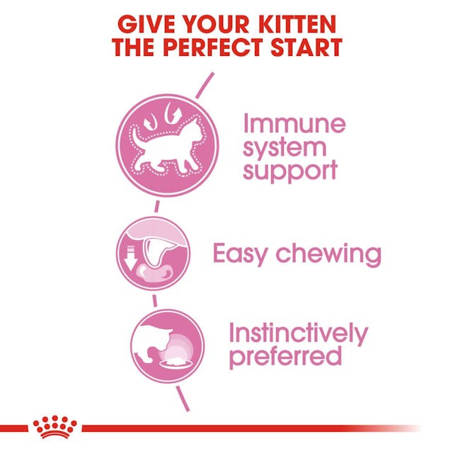 Royal Canin Kitten Jelly Pouch The Benefits By Pets Emporium