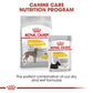 ROYAL CANIN MAXI DERMACOMFORT DRY DOG FOOD