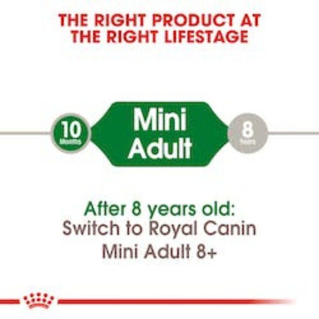Royal Canin Mini Adult Dog Food Right Product at the Right Life Stage Pets Emporium
