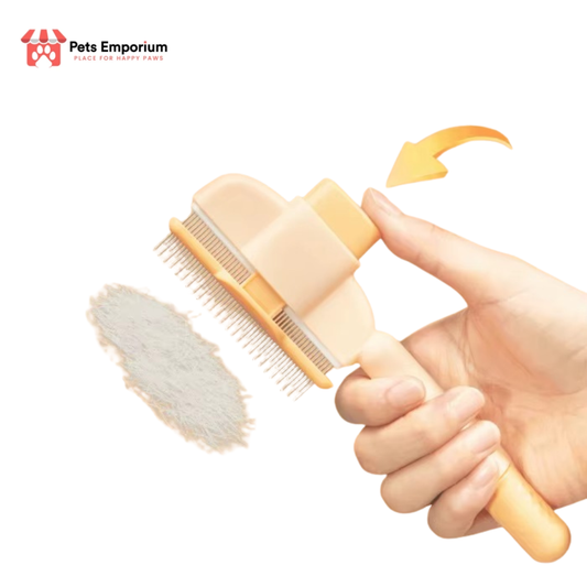 Self-Cleaning Rake Comb for Pet Grooming