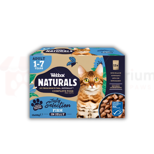 Webbox Naturals Fish in Jelly Wet Cat Food