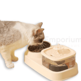 Water Fountain Square With Feeding Bowl