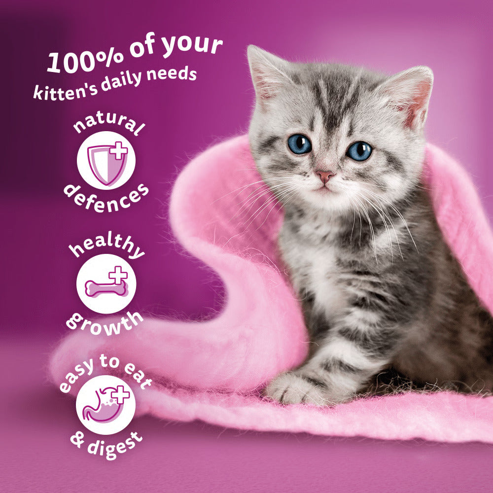 How to give whiskas to kitten best sale