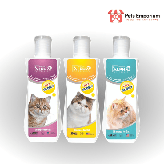 Alpha Glory Cat - Silky Glow Shampoo for Cats - Pets Emporium