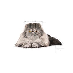 Royal Canin Persian Adult Dry Cat Food