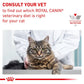 Royal Canin Gastrointestinal Kitten Dry Food