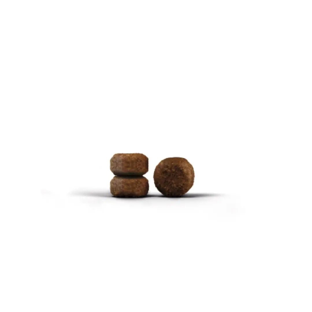 Josera DailyCat Grain-Free Cat Food - Pets Emporium