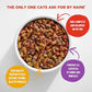 Meow Mix Original Choice Cat Food - Pets Emporium
