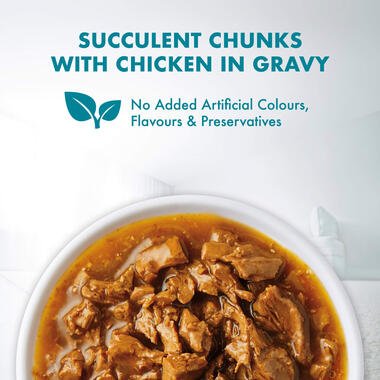 Purina ONE Adult Hairball with Chicken in Gravy Wet Cat Food - Pets Emporium