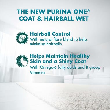 Purina ONE Adult Hairball with Chicken in Gravy Wet Cat Food - Pets Emporium