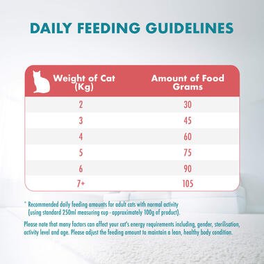 Purina ONE Cat Food Healthy Adult Salmon and Tuna - Pets Emporium